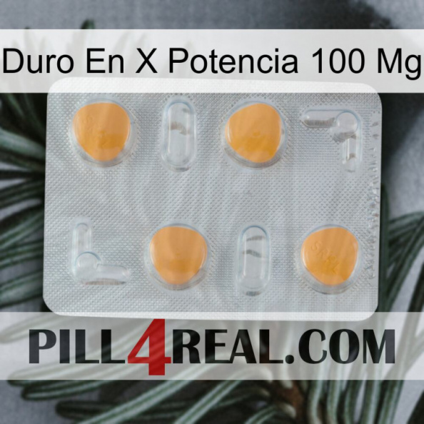 Hard On X Power 100 Mg 24.jpg